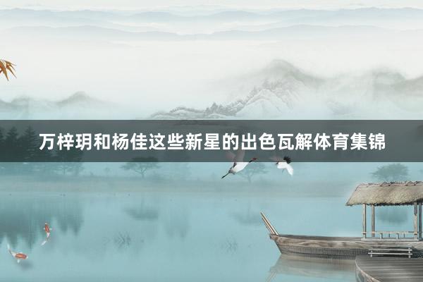 万梓玥和杨佳这些新星的出色瓦解体育集锦