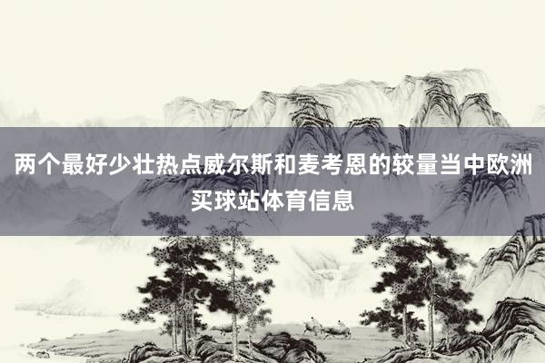 两个最好少壮热点威尔斯和麦考恩的较量当中欧洲买球站体育信息