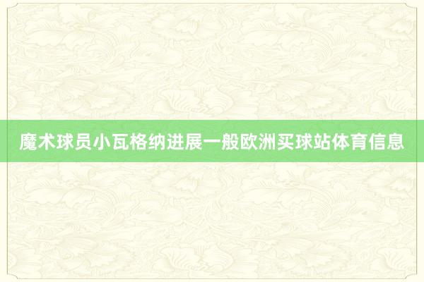 魔术球员小瓦格纳进展一般欧洲买球站体育信息