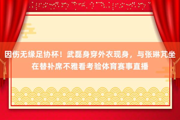 因伤无缘足协杯！武磊身穿外衣现身，与张琳芃坐在替补席不雅看考验体育赛事直播