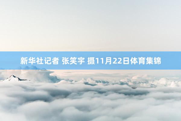 新华社记者 张笑宇 摄11月22日体育集锦
