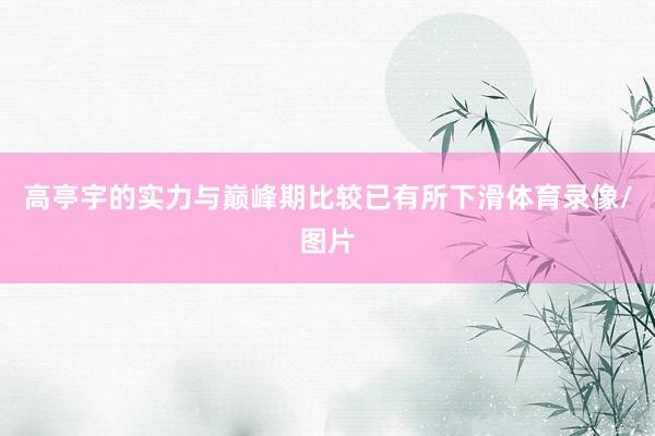 高亭宇的实力与巅峰期比较已有所下滑体育录像/图片