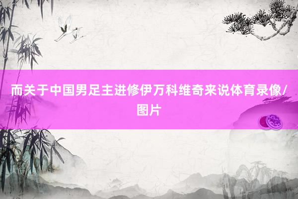 而关于中国男足主进修伊万科维奇来说体育录像/图片