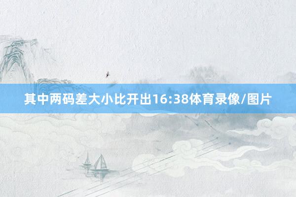 其中两码差大小比开出16:38体育录像/图片