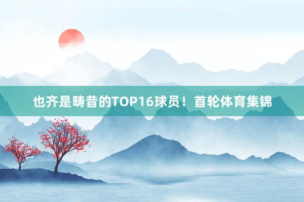 也齐是畴昔的TOP16球员！首轮体育集锦