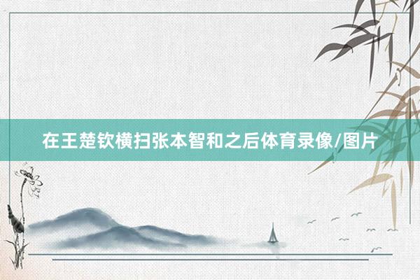 在王楚钦横扫张本智和之后体育录像/图片