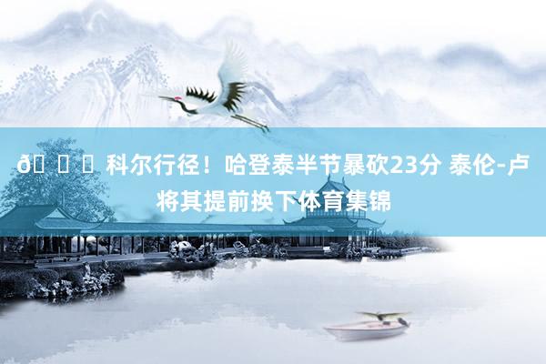 😂科尔行径！哈登泰半节暴砍23分 泰伦-卢将其提前换下体育集锦