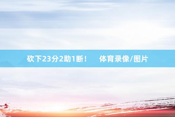 砍下23分2助1断！    体育录像/图片