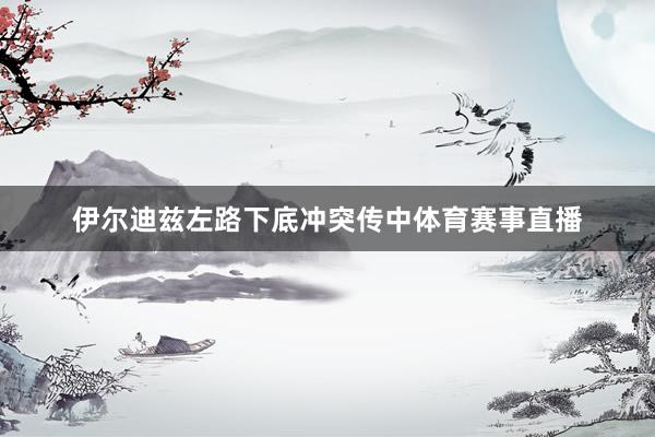伊尔迪兹左路下底冲突传中体育赛事直播