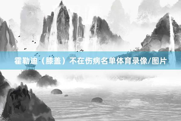 霍勒迪（膝盖）不在伤病名单体育录像/图片