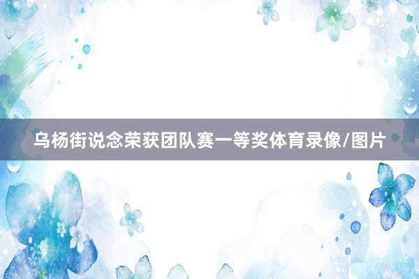 乌杨街说念荣获团队赛一等奖体育录像/图片