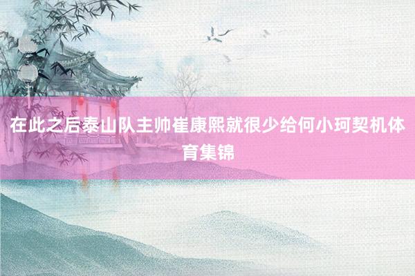 在此之后泰山队主帅崔康熙就很少给何小珂契机体育集锦