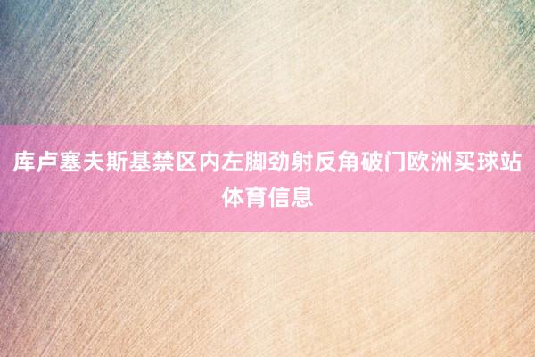 库卢塞夫斯基禁区内左脚劲射反角破门欧洲买球站体育信息