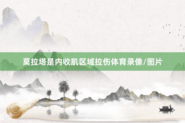 莫拉塔是内收肌区域拉伤体育录像/图片