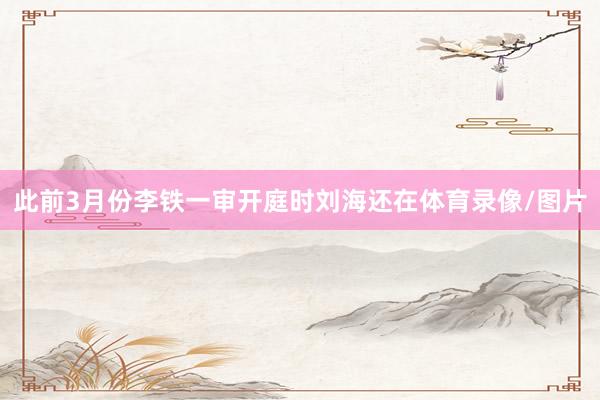 此前3月份李铁一审开庭时刘海还在体育录像/图片