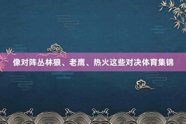 像对阵丛林狼、老鹰、热火这些对决体育集锦