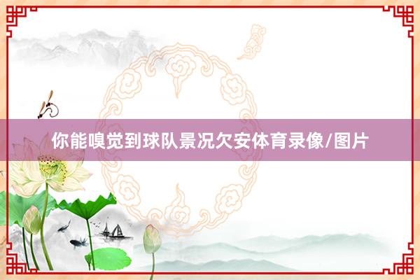 你能嗅觉到球队景况欠安体育录像/图片