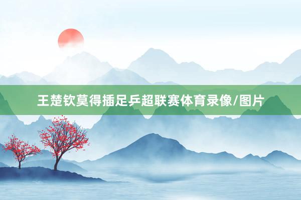 王楚钦莫得插足乒超联赛体育录像/图片