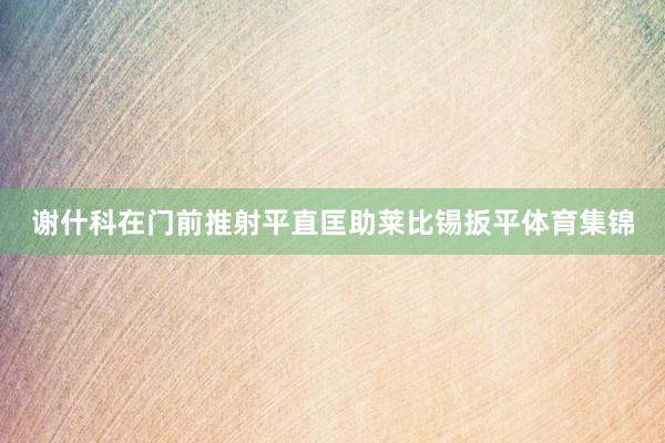 谢什科在门前推射平直匡助莱比锡扳平体育集锦