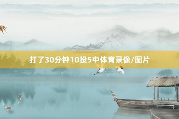 打了30分钟10投5中体育录像/图片