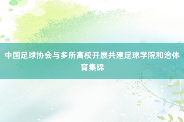 中国足球协会与多所高校开展共建足球学院和洽体育集锦