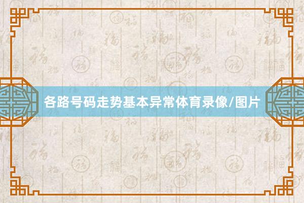 各路号码走势基本异常体育录像/图片