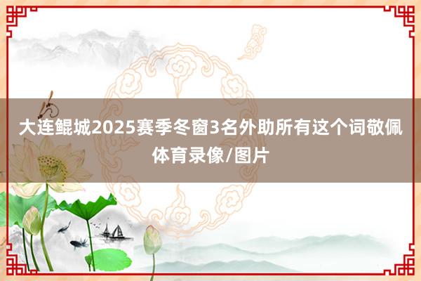大连鲲城2025赛季冬窗3名外助所有这个词敬佩体育录像/图片