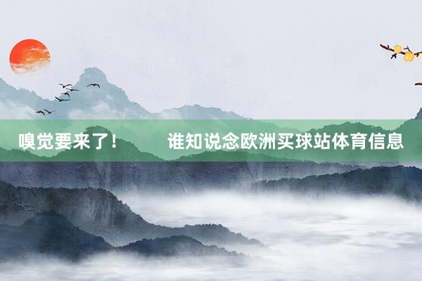 嗅觉要来了！        谁知说念欧洲买球站体育信息