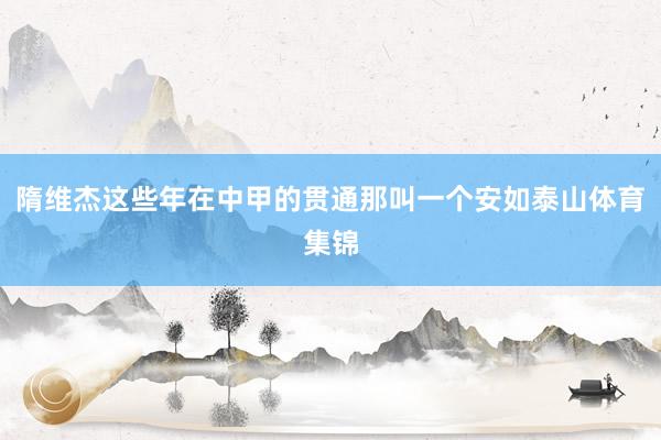 隋维杰这些年在中甲的贯通那叫一个安如泰山体育集锦