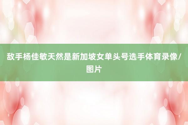 敌手杨佳敏天然是新加坡女单头号选手体育录像/图片