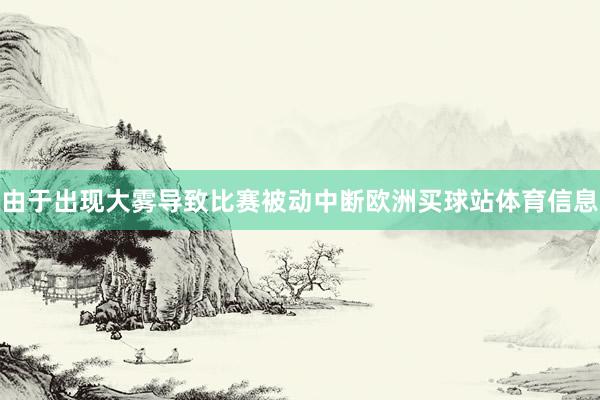 由于出现大雾导致比赛被动中断欧洲买球站体育信息
