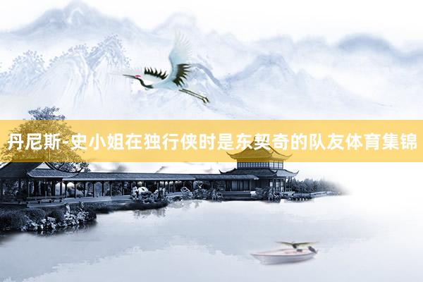 丹尼斯-史小姐在独行侠时是东契奇的队友体育集锦