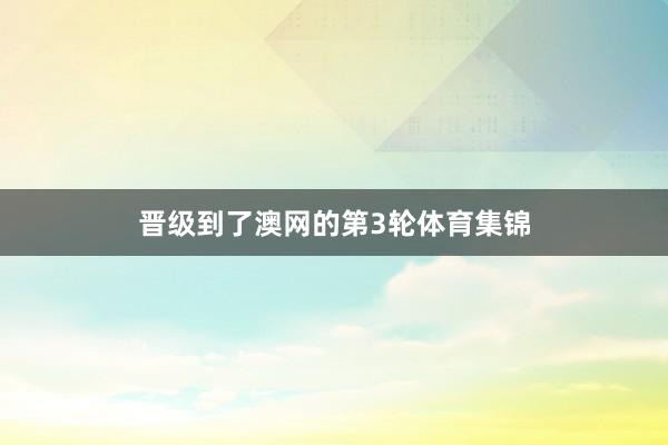 晋级到了澳网的第3轮体育集锦