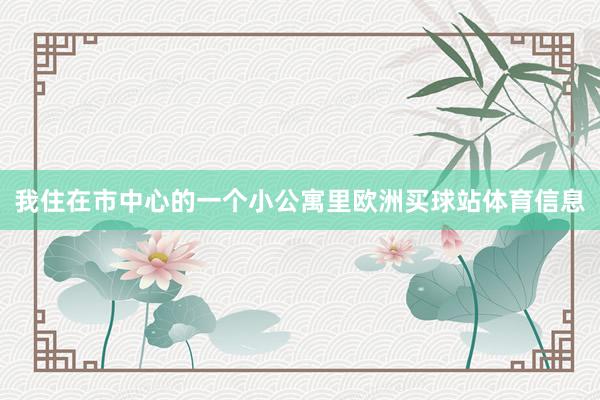 我住在市中心的一个小公寓里欧洲买球站体育信息