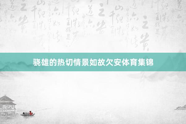 骁雄的热切情景如故欠安体育集锦