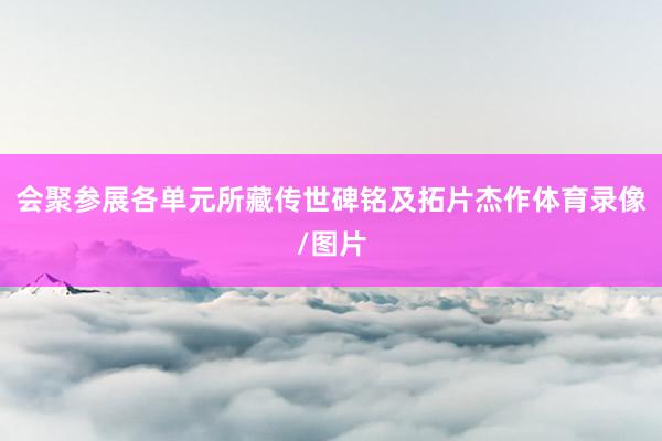 会聚参展各单元所藏传世碑铭及拓片杰作体育录像/图片
