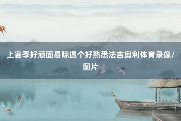上赛季好顽固易际遇个好熟悉法吉奥利体育录像/图片