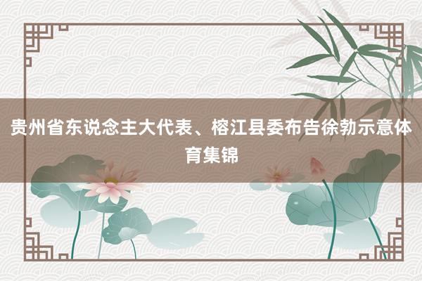 贵州省东说念主大代表、榕江县委布告徐勃示意体育集锦