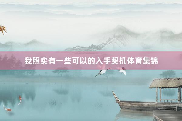 我照实有一些可以的入手契机体育集锦