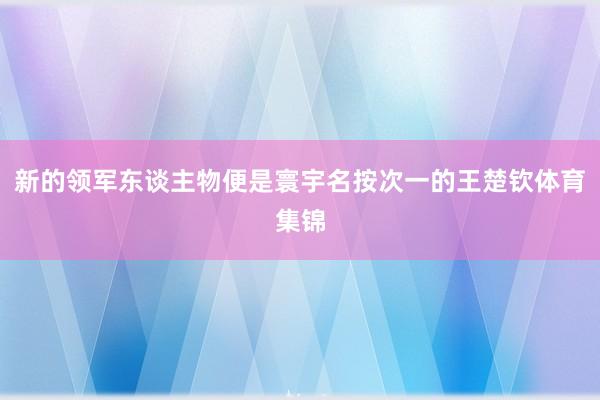 新的领军东谈主物便是寰宇名按次一的王楚钦体育集锦