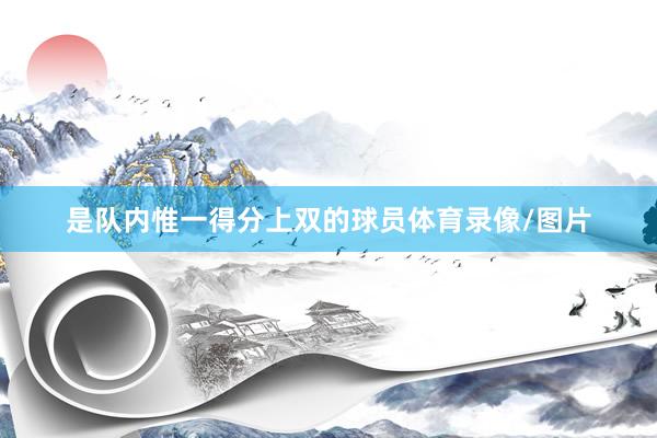 是队内惟一得分上双的球员体育录像/图片