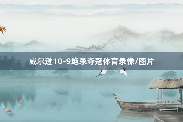 威尔逊10-9绝杀夺冠体育录像/图片