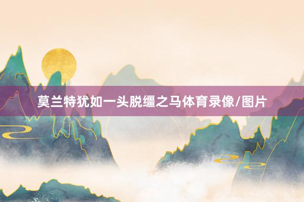 莫兰特犹如一头脱缰之马体育录像/图片