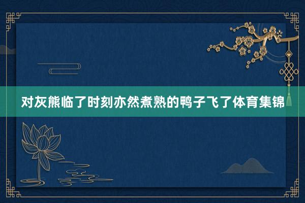 对灰熊临了时刻亦然煮熟的鸭子飞了体育集锦