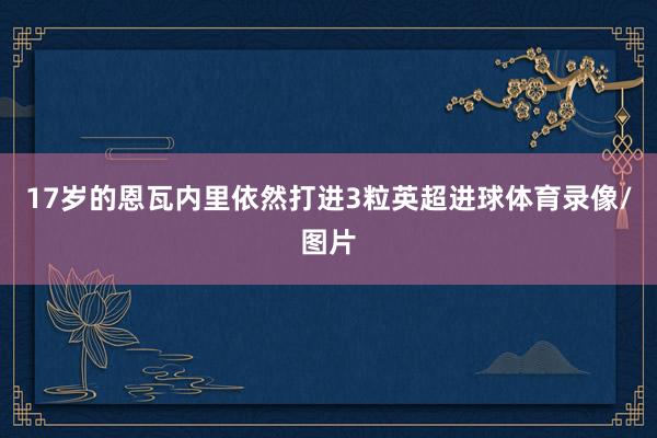 17岁的恩瓦内里依然打进3粒英超进球体育录像/图片