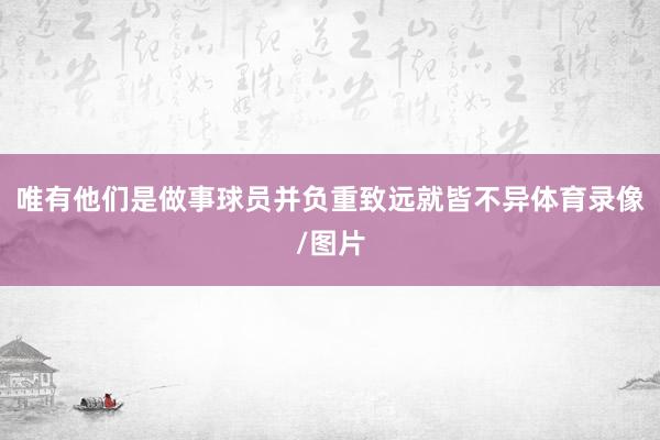 唯有他们是做事球员并负重致远就皆不异体育录像/图片