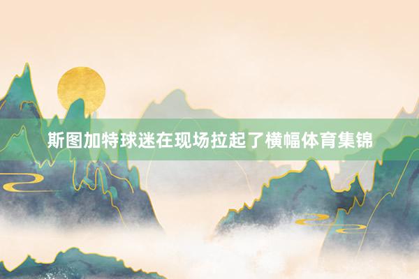 斯图加特球迷在现场拉起了横幅体育集锦