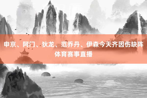 申京、阿门、狄龙、范乔丹、伊森今天齐因伤缺阵体育赛事直播