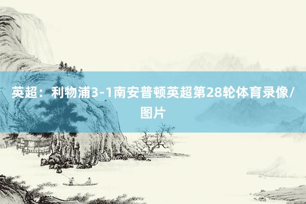 英超：利物浦3-1南安普顿英超第28轮体育录像/图片