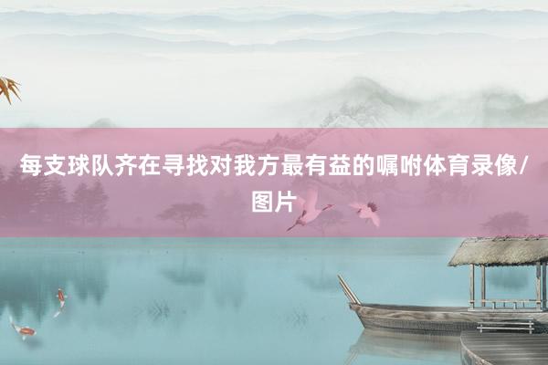 每支球队齐在寻找对我方最有益的嘱咐体育录像/图片